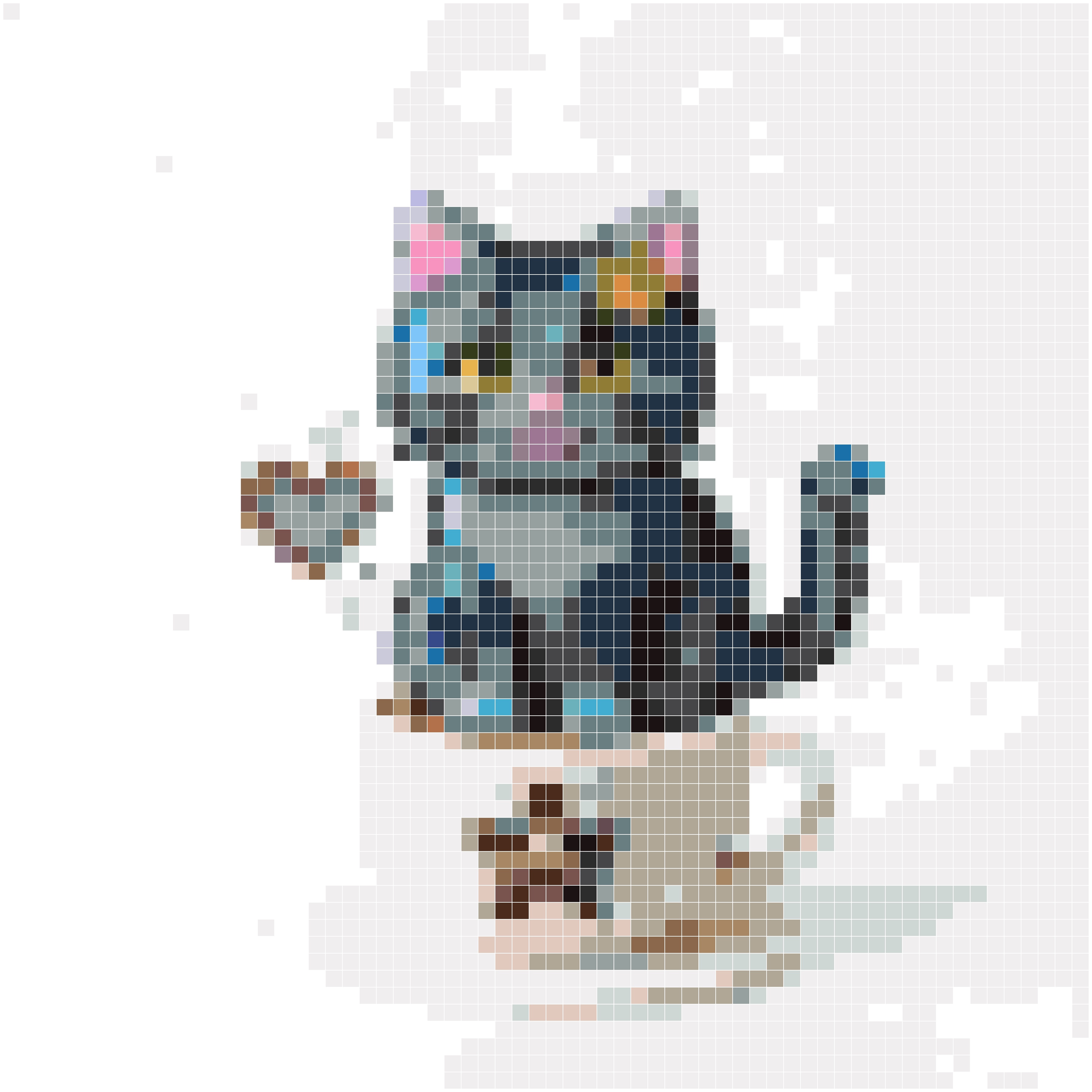 星星咖啡猫