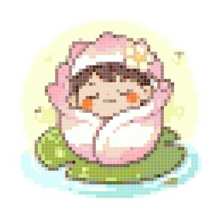午睡莲妹妹