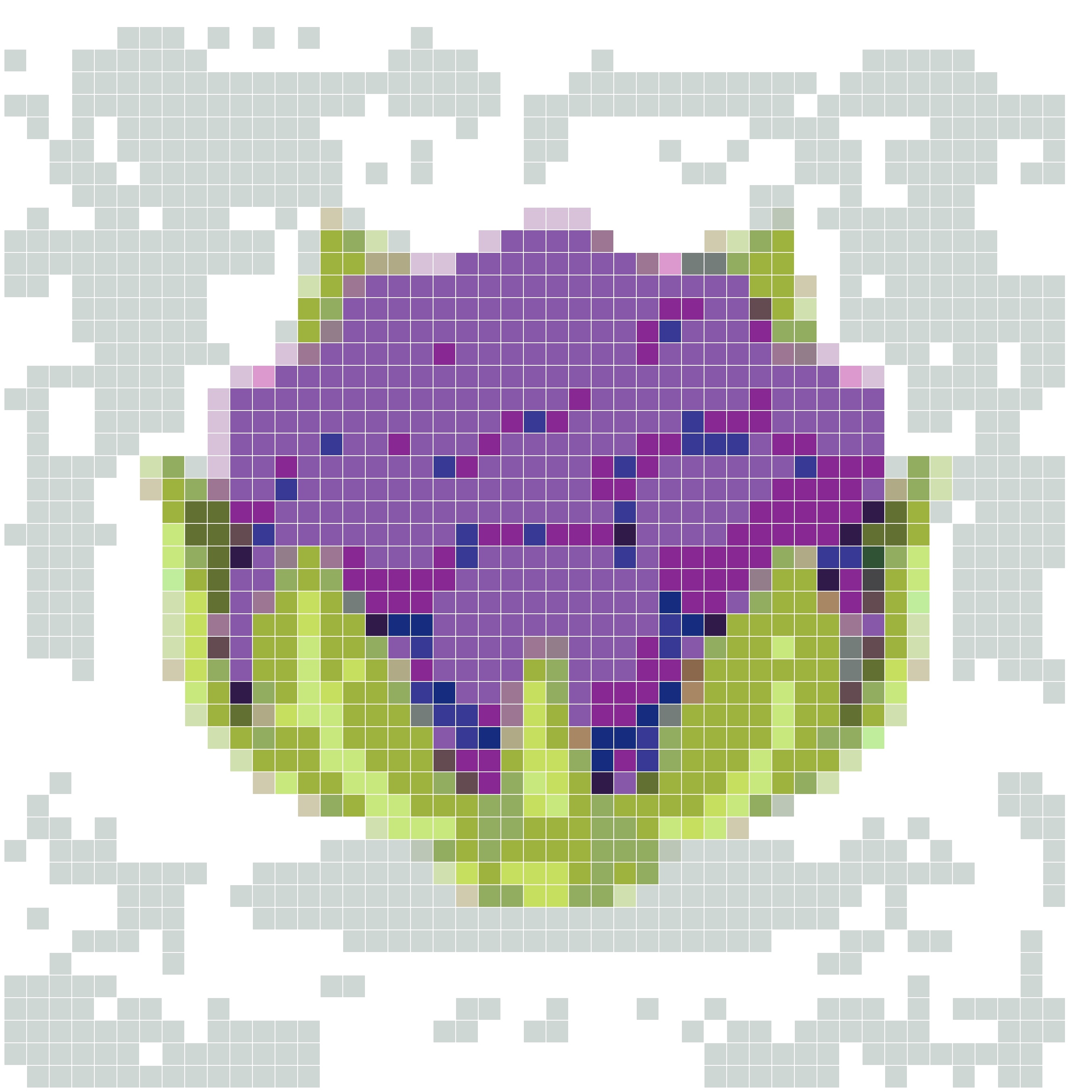 紫色花椰菜