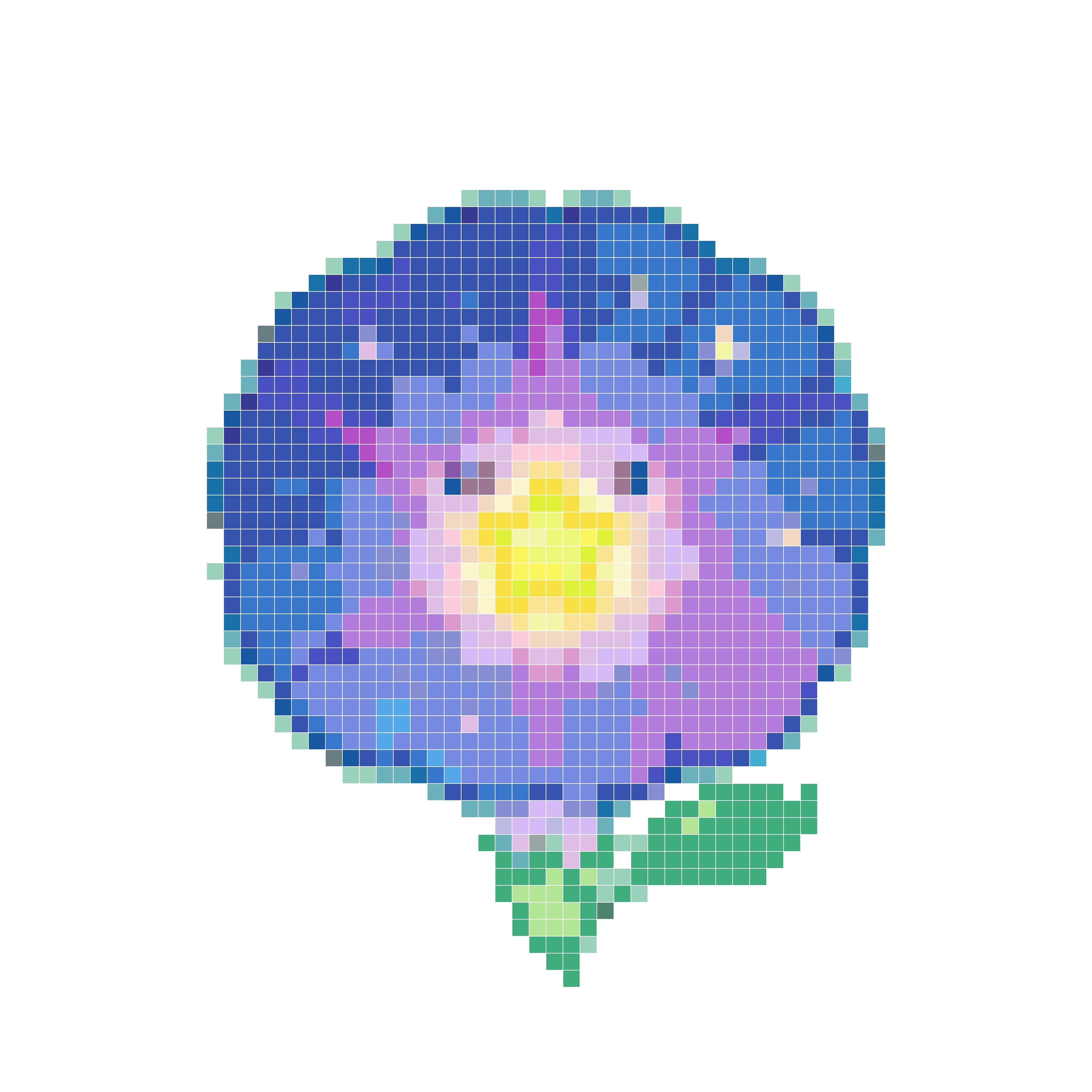 星夜牵牛花精灵