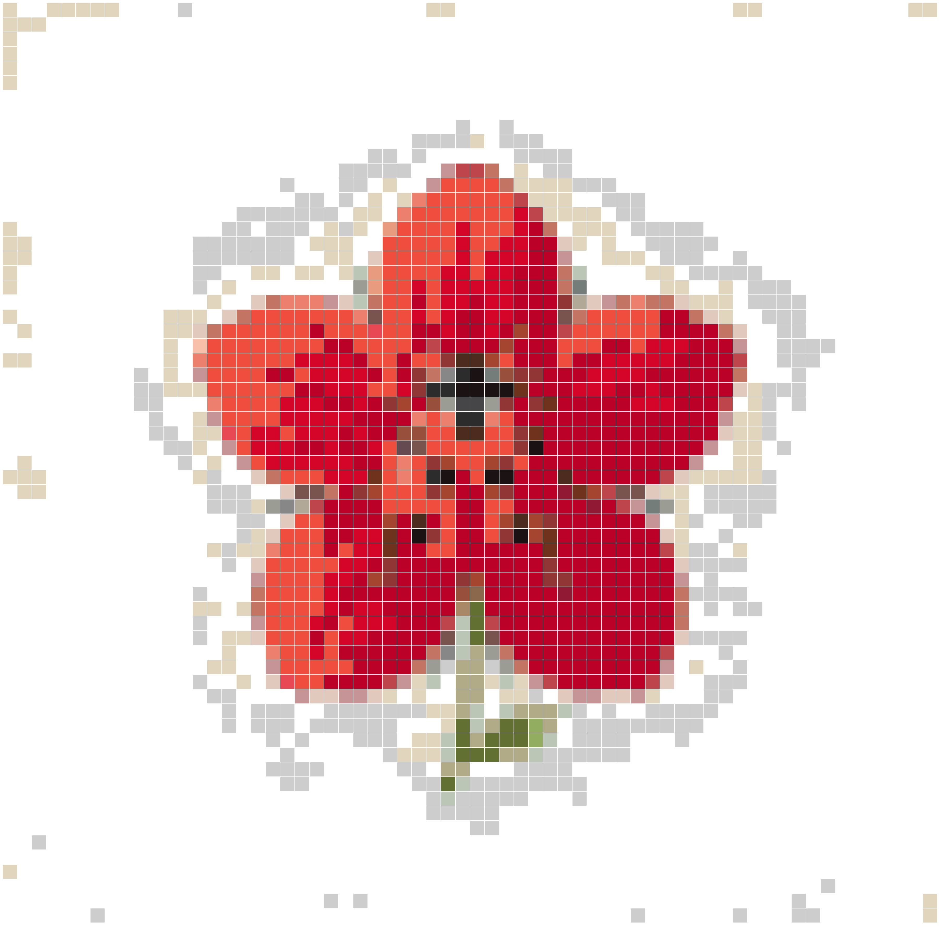 七星瓢虫花