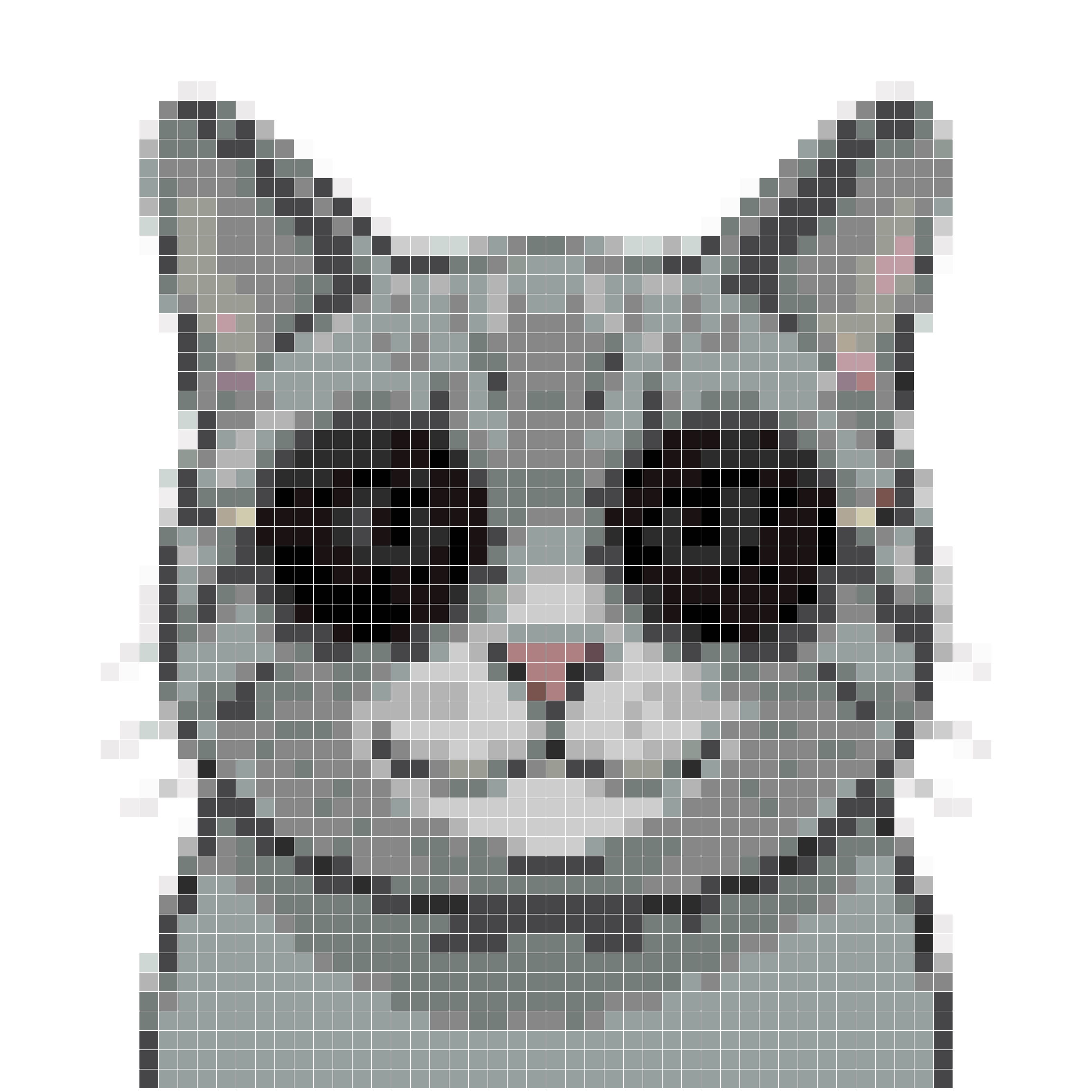 墨镜微笑猫
