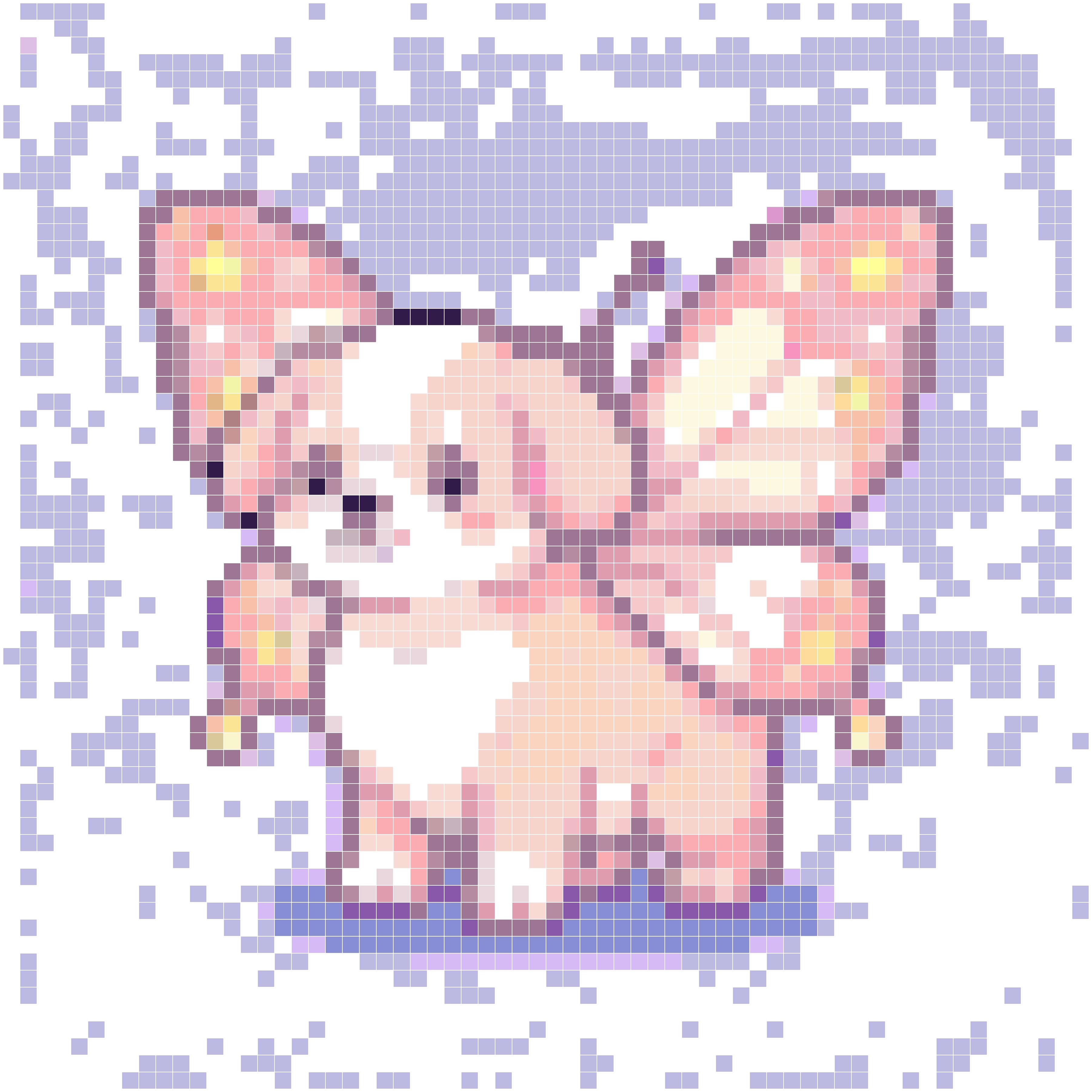 星光蝴蝶犬