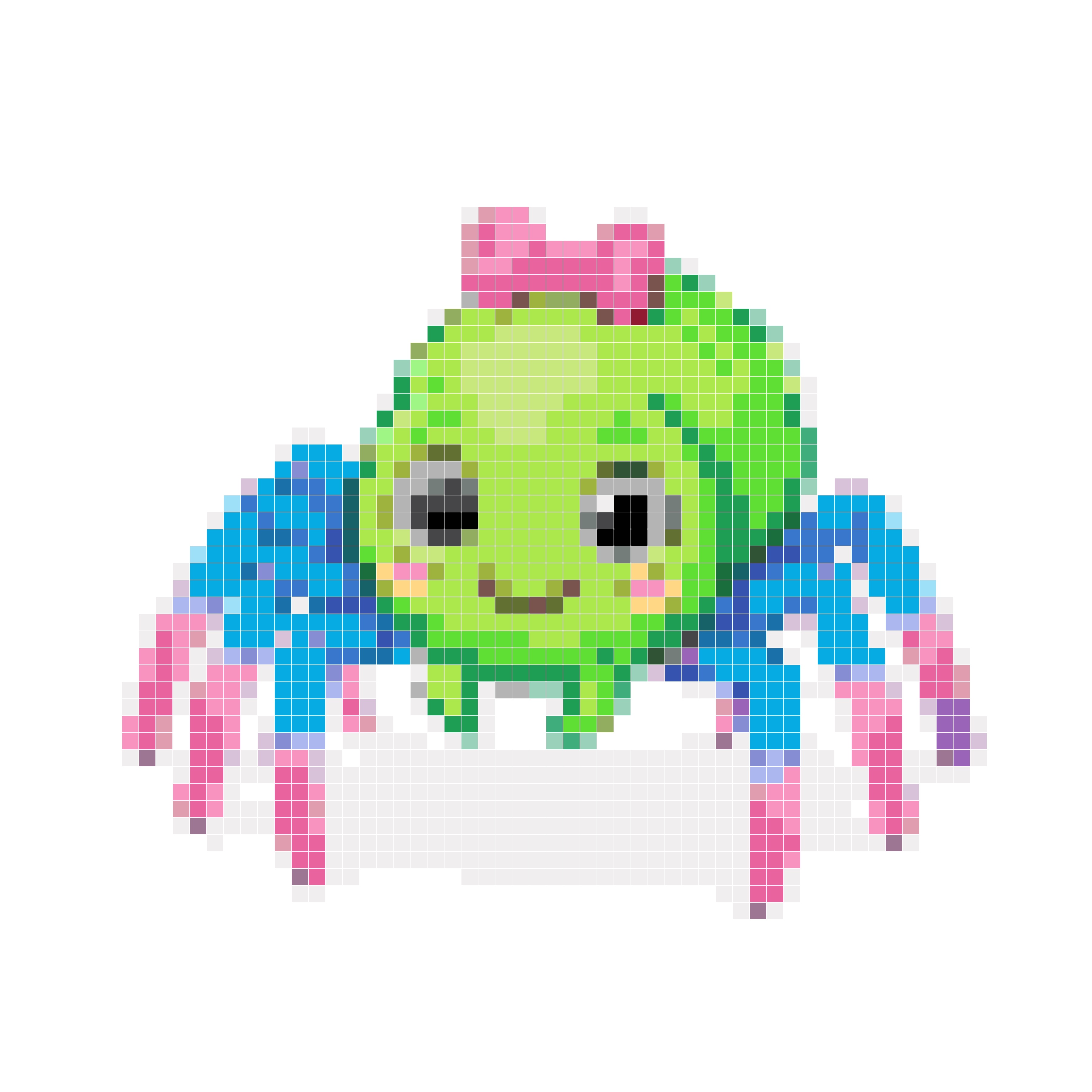 星光小蛛
