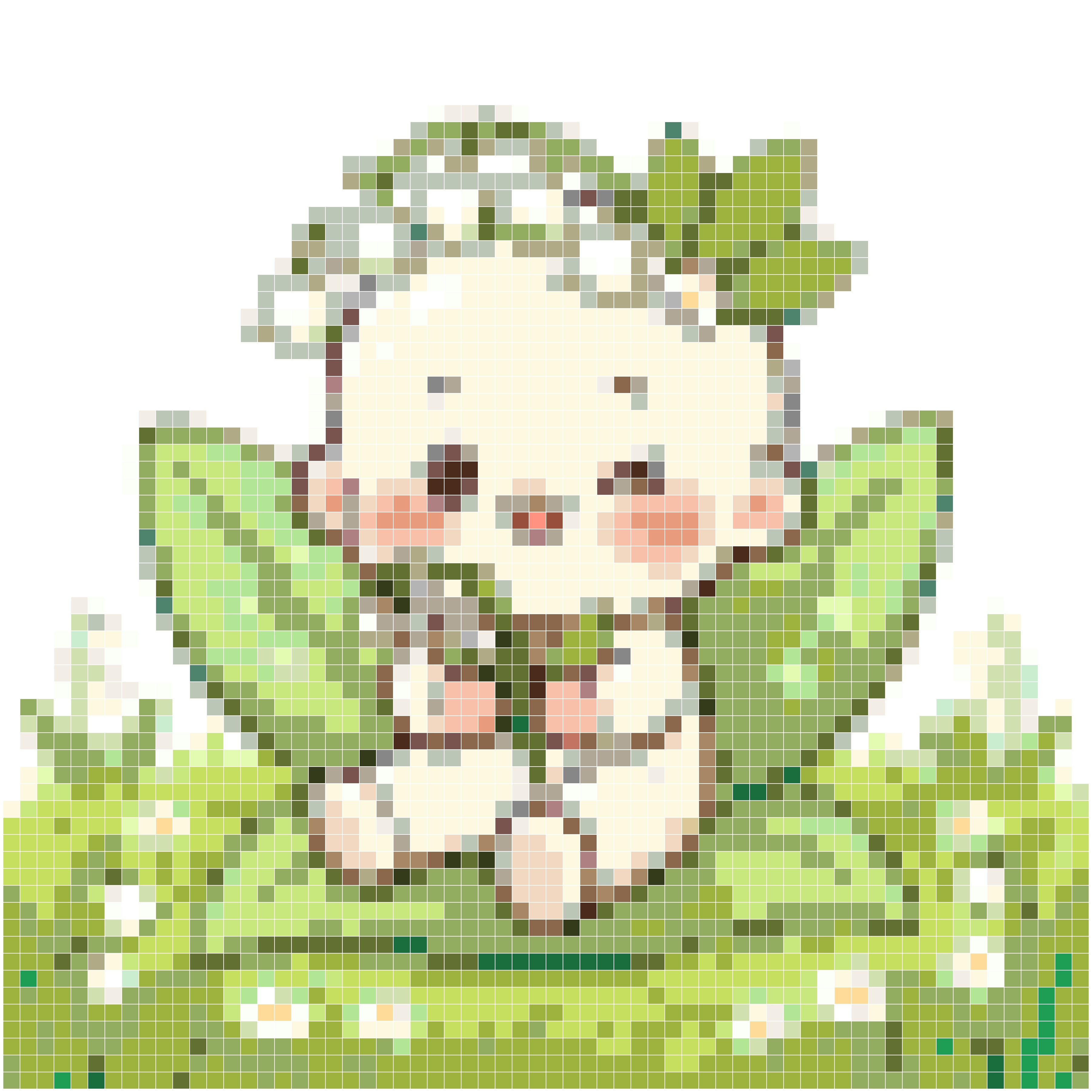 银铃花 · 手捧花冠