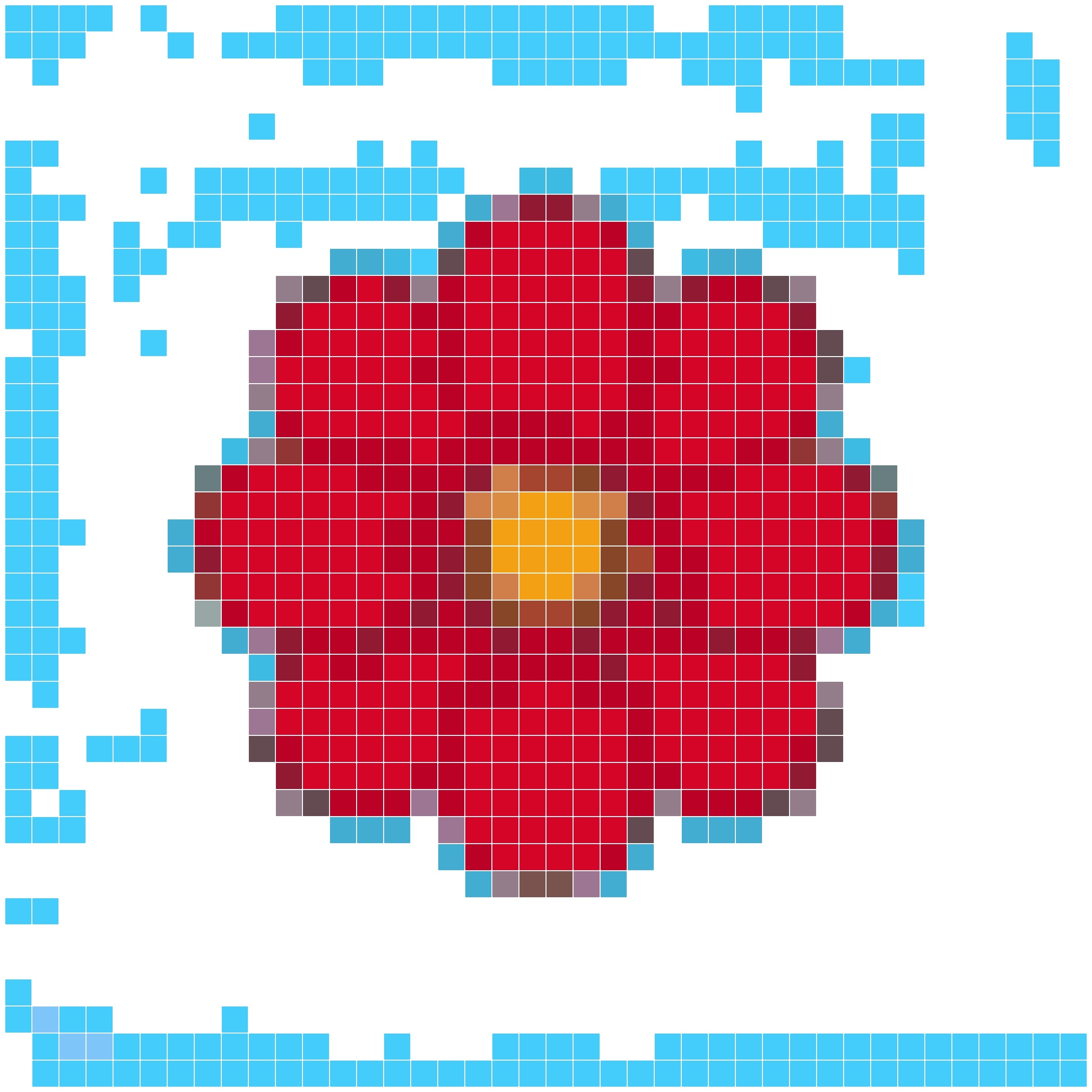 红色波斯菊
