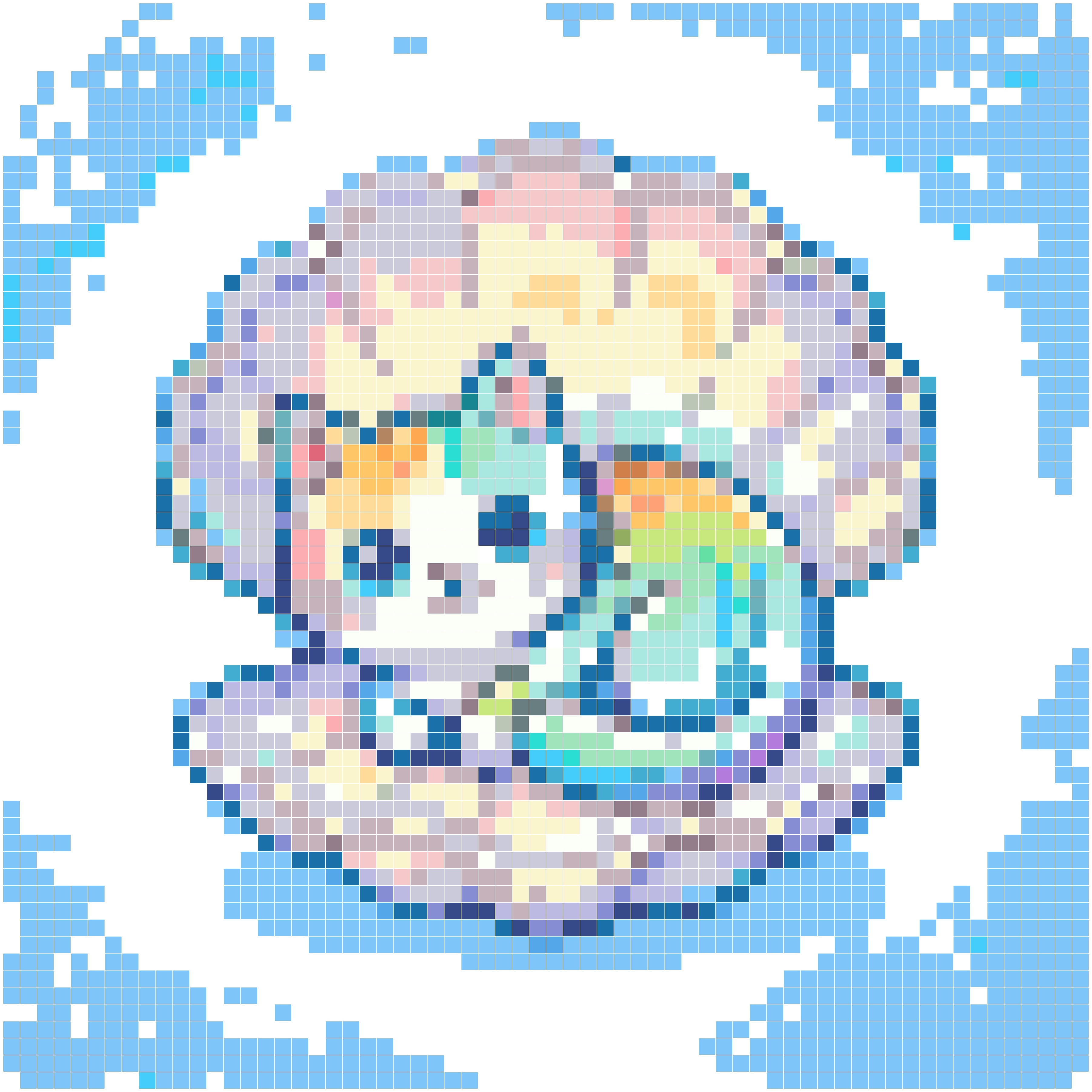 彩虹贝壳猫