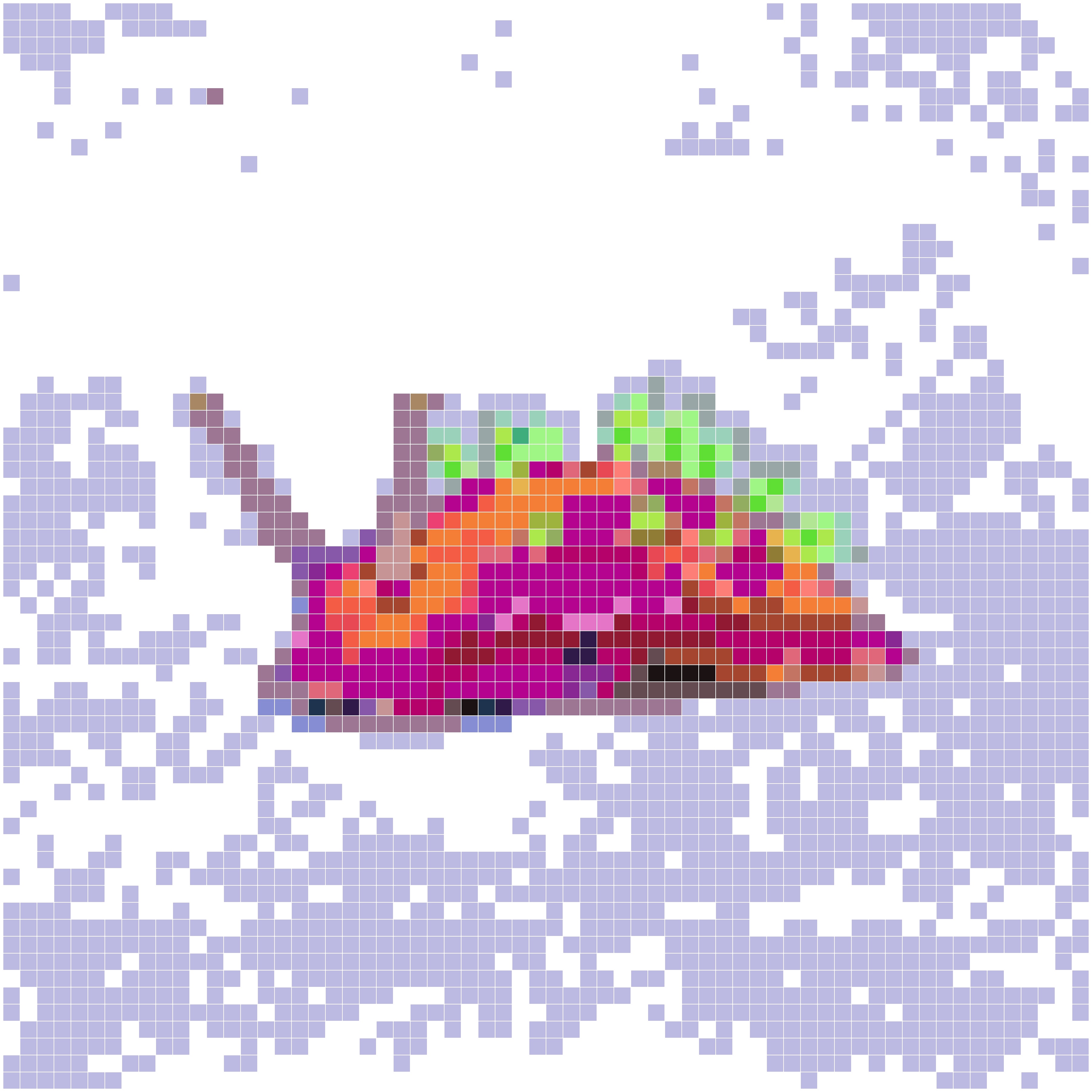 霓虹海兔