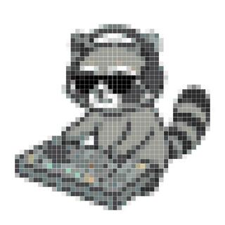 浣熊 DJ