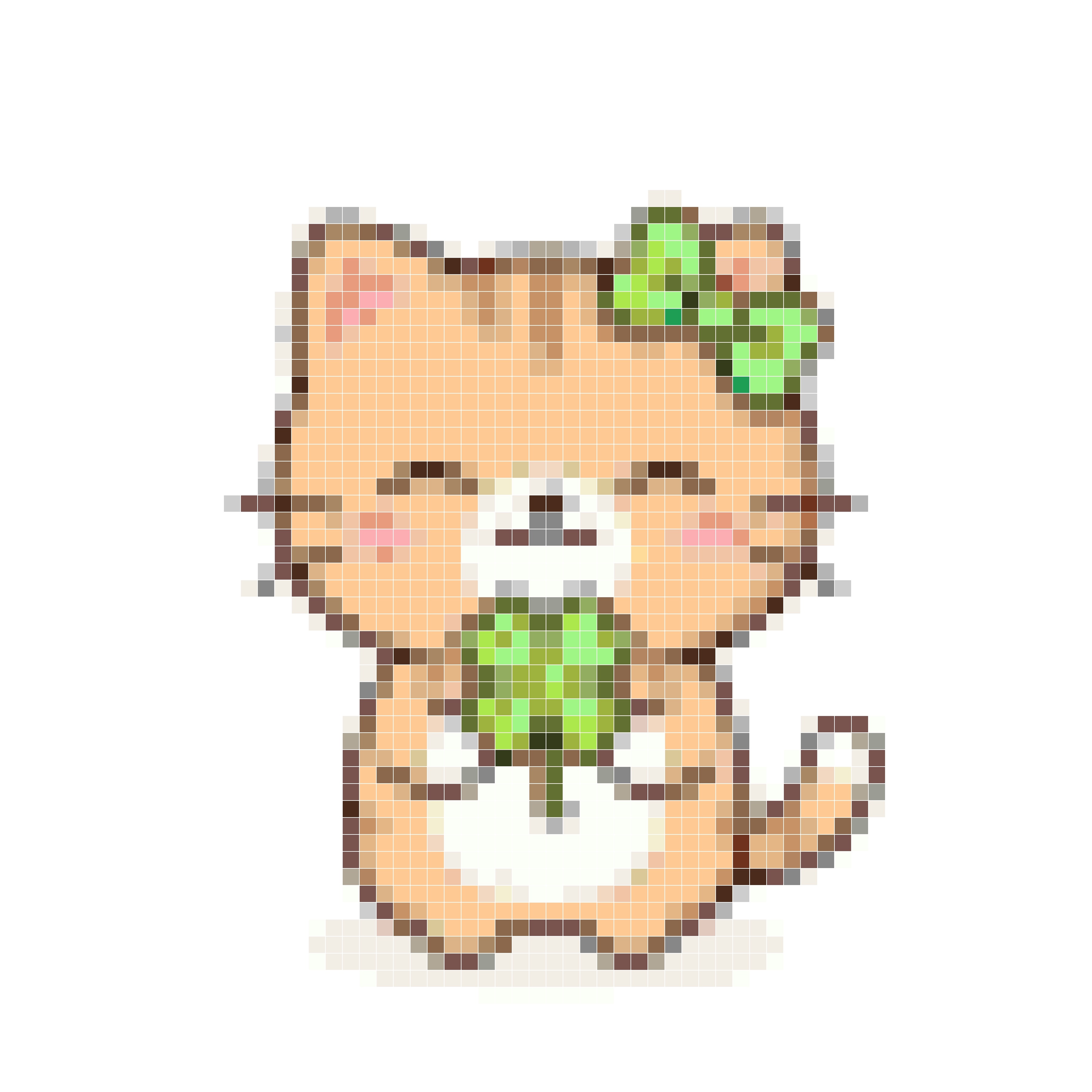 四叶草小猫