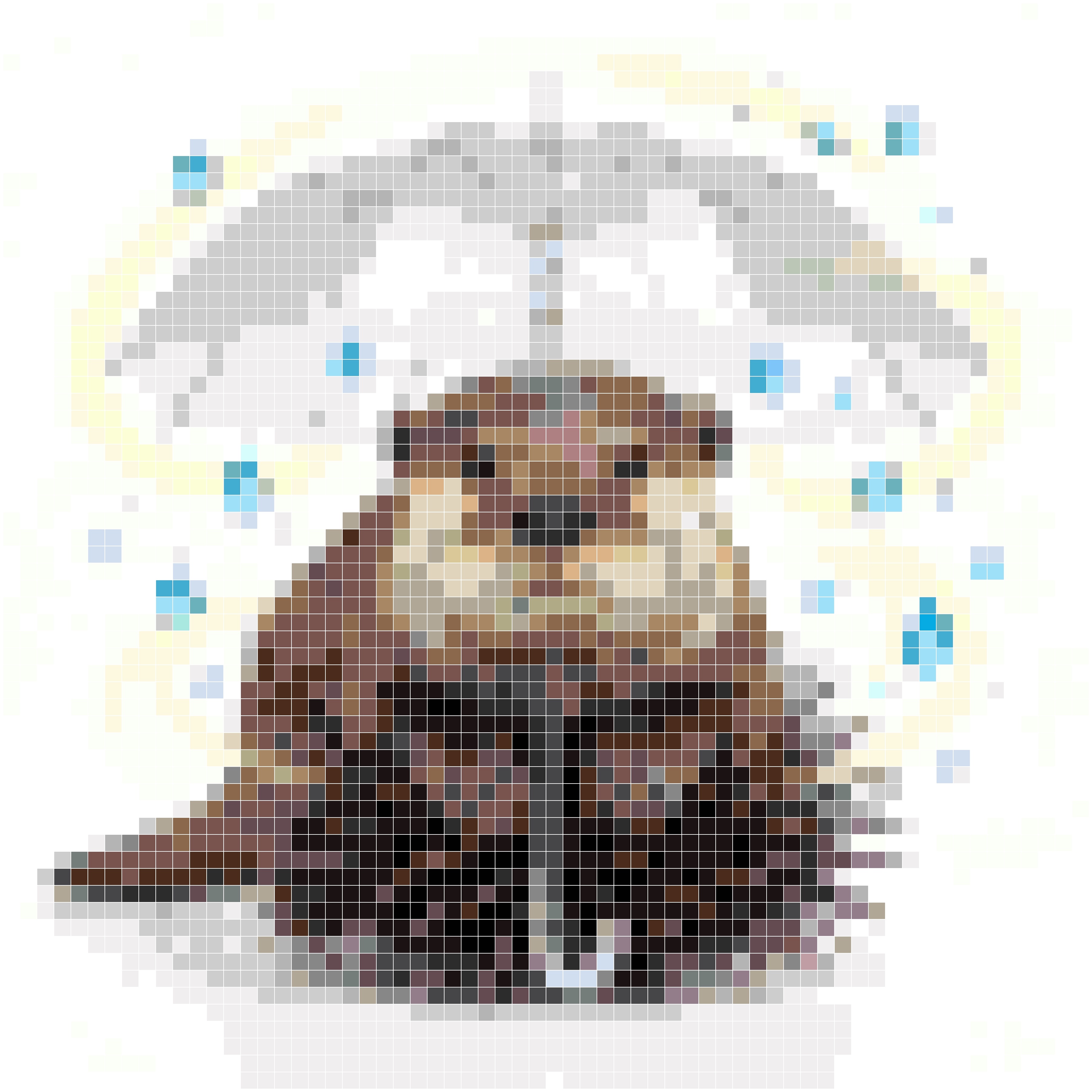 星辰雨中的小寄居蟹