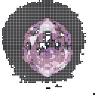 紫水晶星晶石