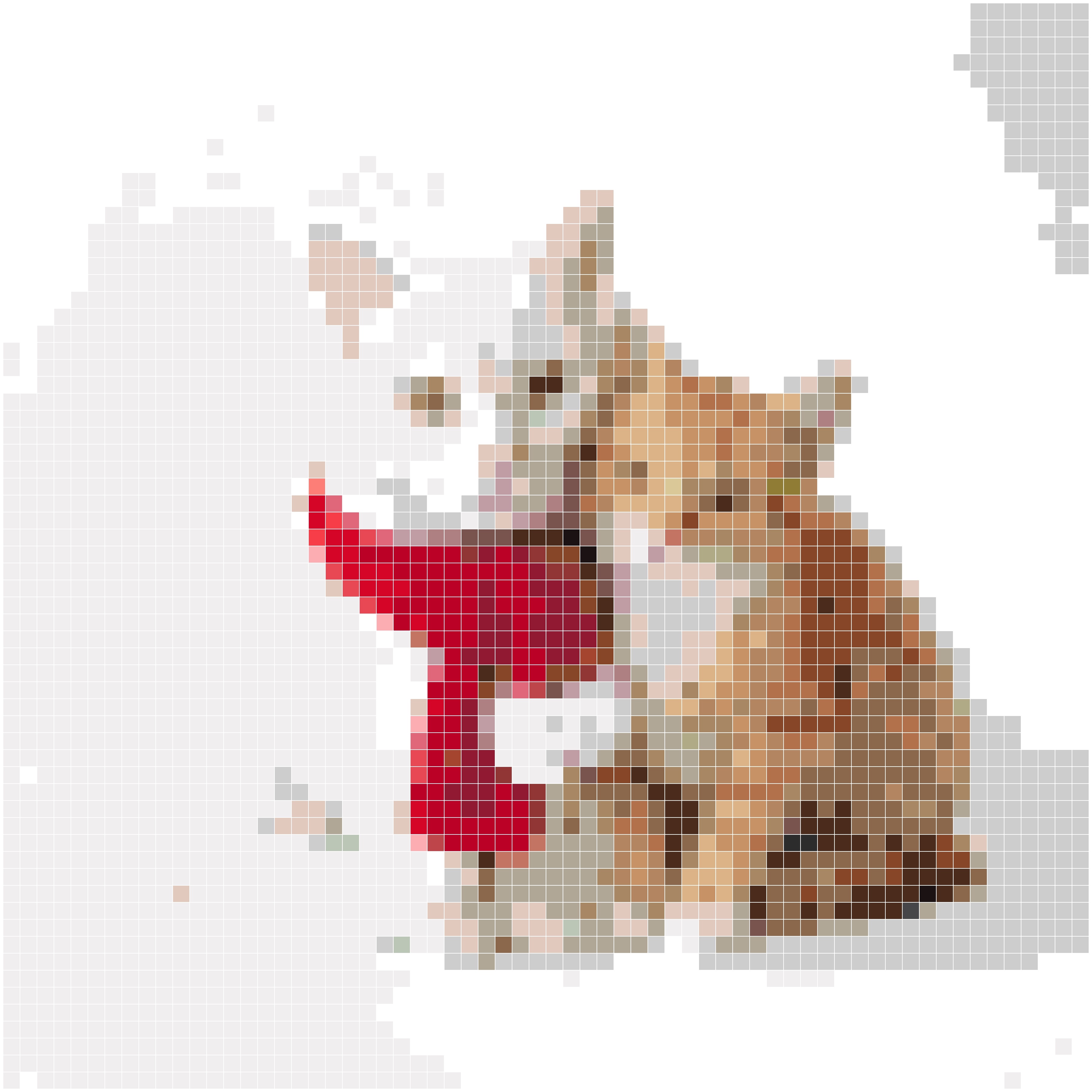 圣诞子母猫
