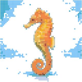 海马
