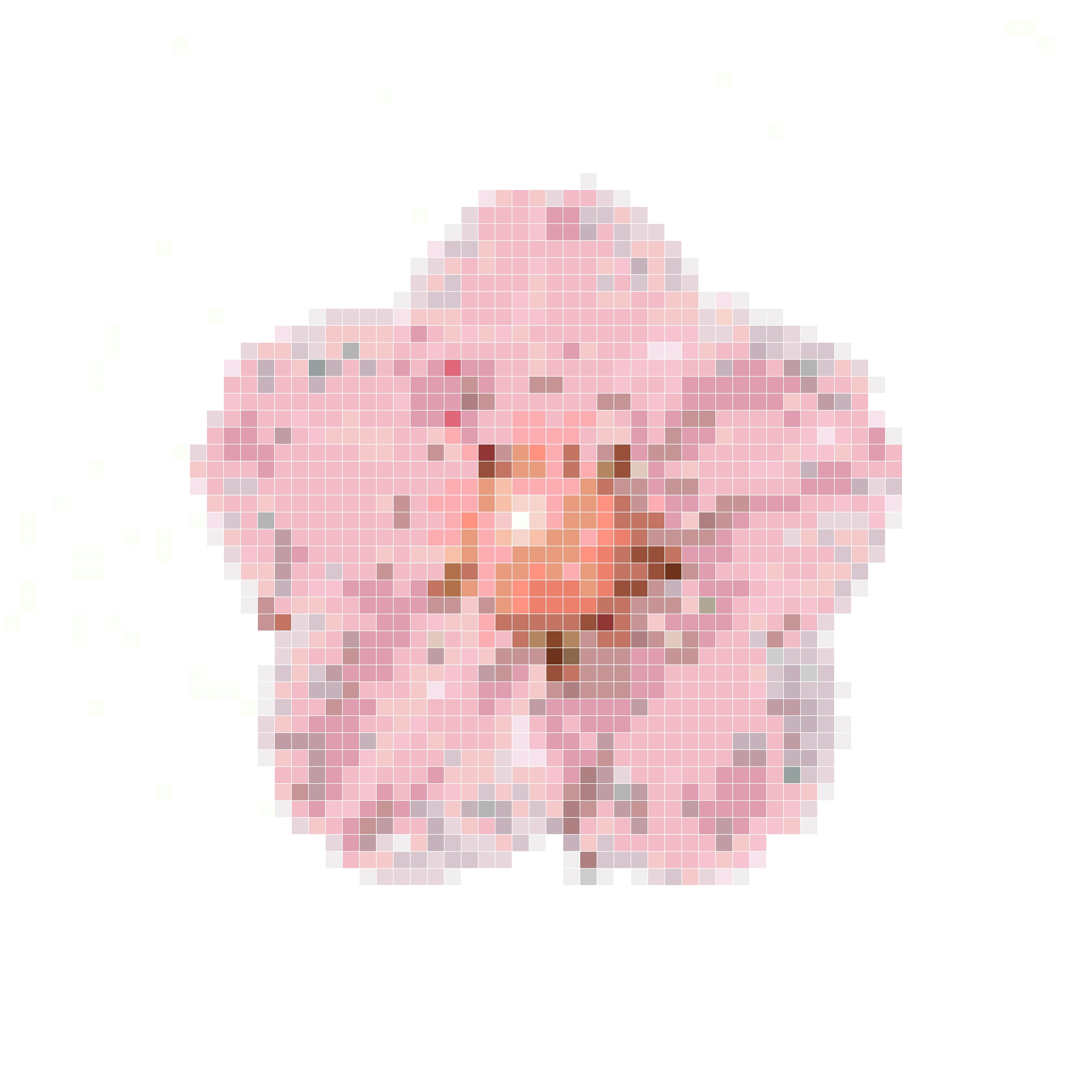 梦幻甜莓梅花