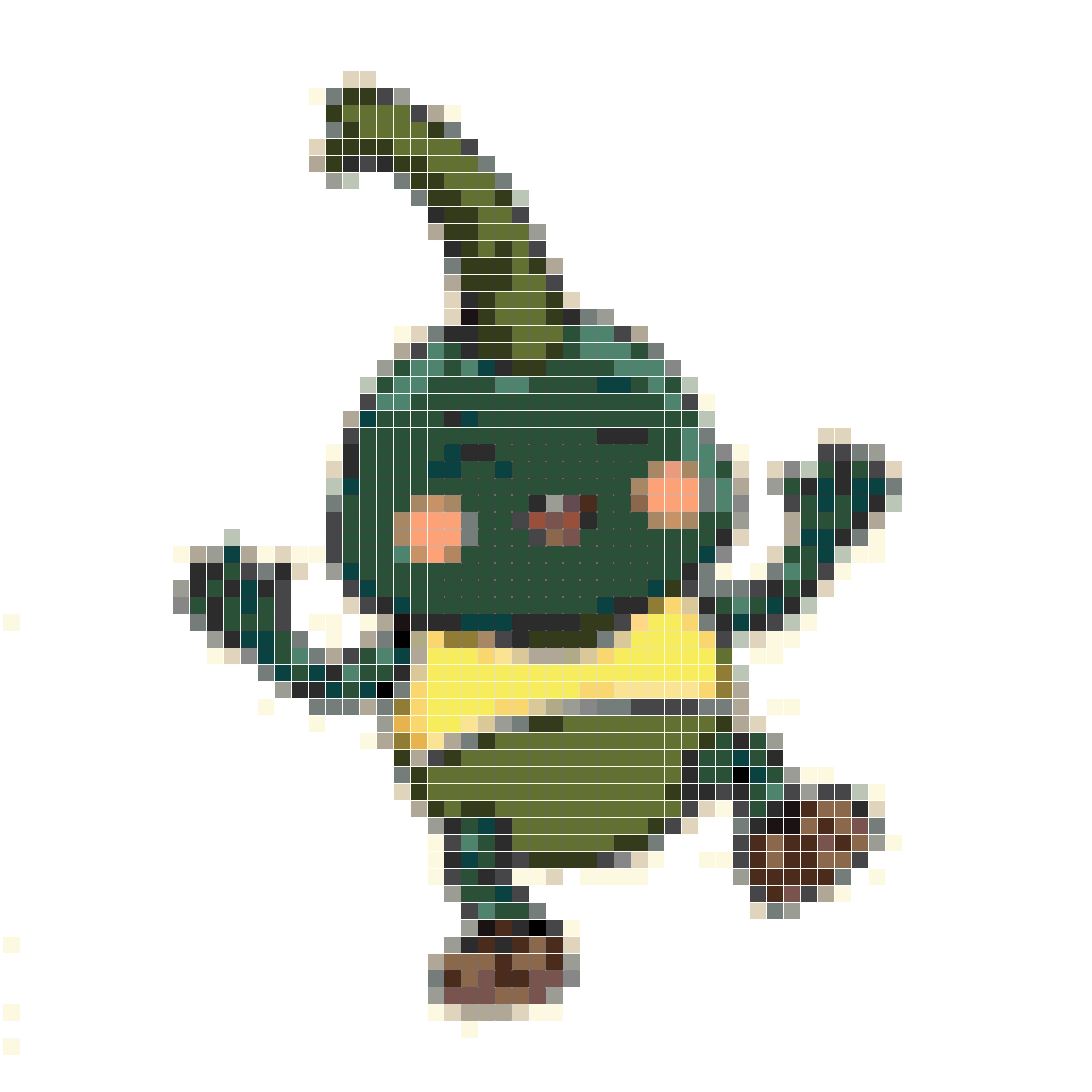 跳舞达人