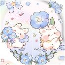 蓝花兔兔