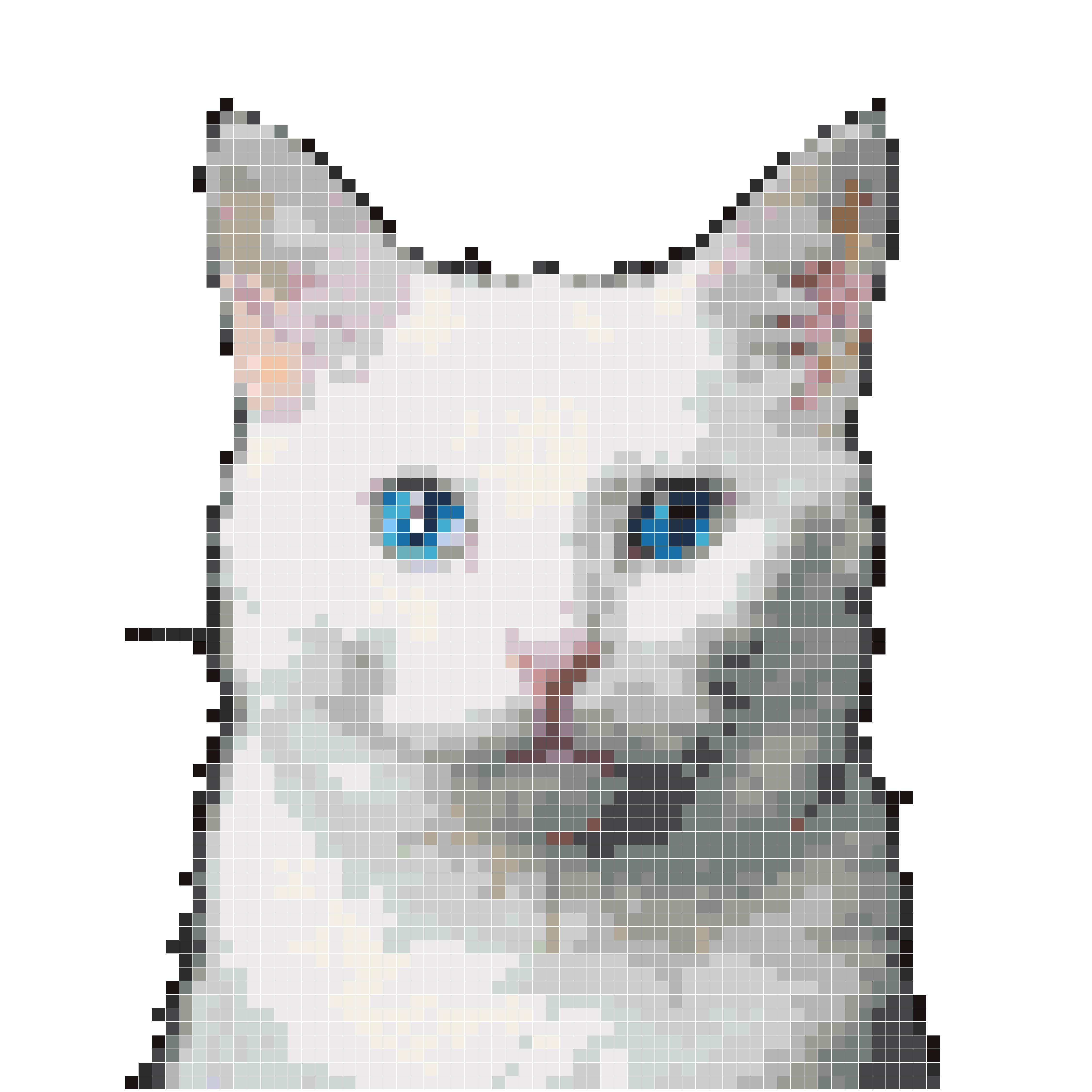 白色猫咪头像