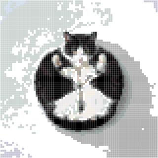 黑白太极猫