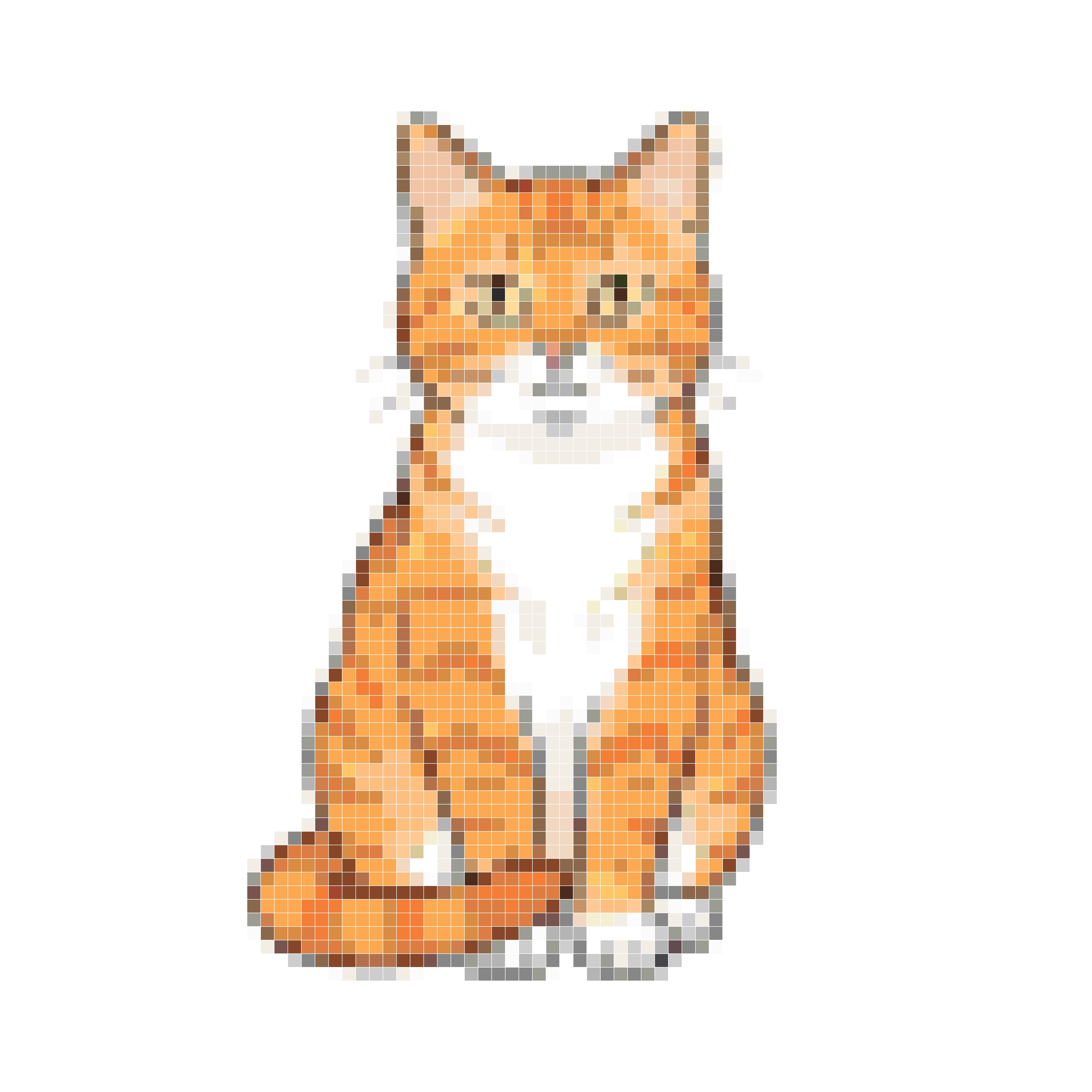 一只橙色的猫