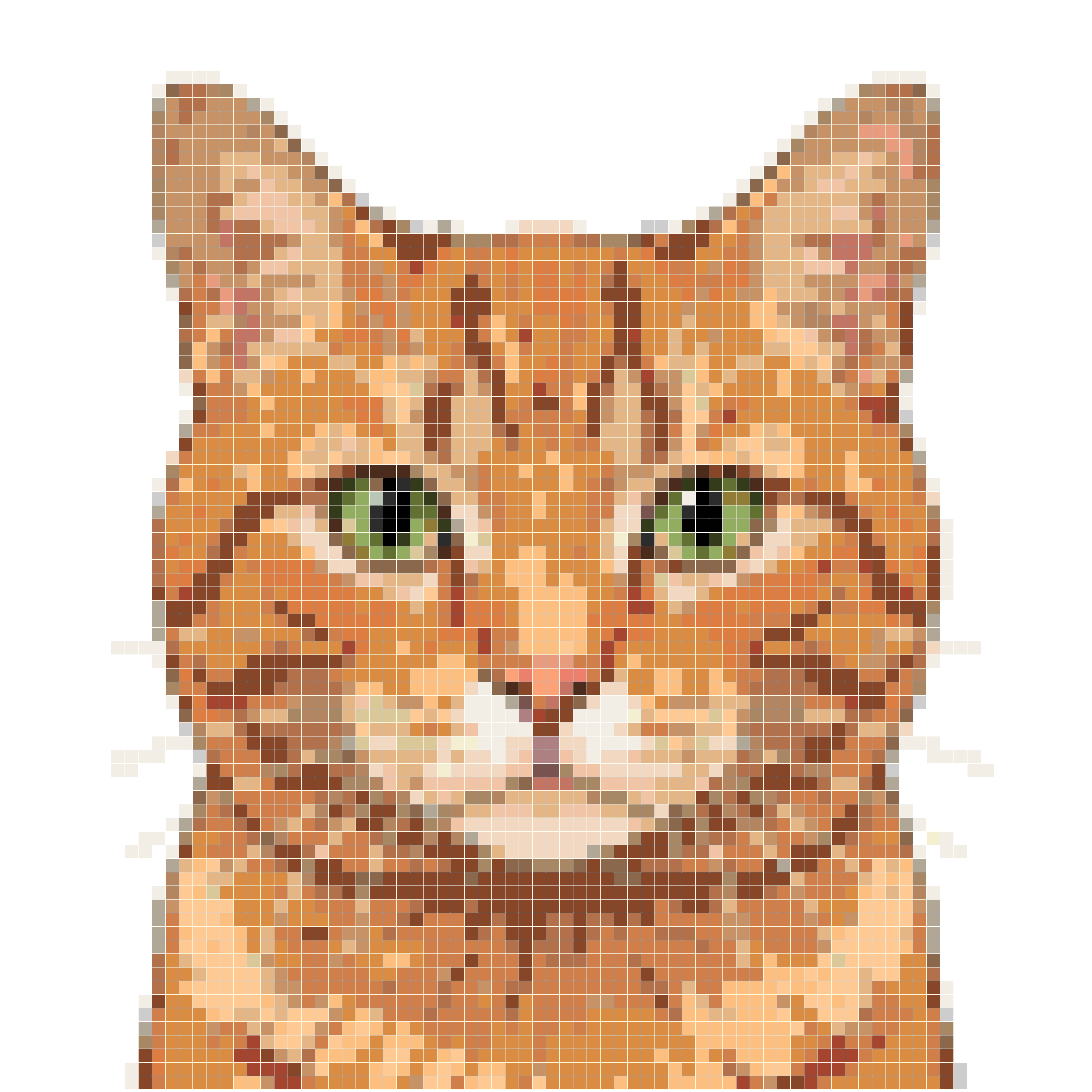 可爱橘猫头像素描
